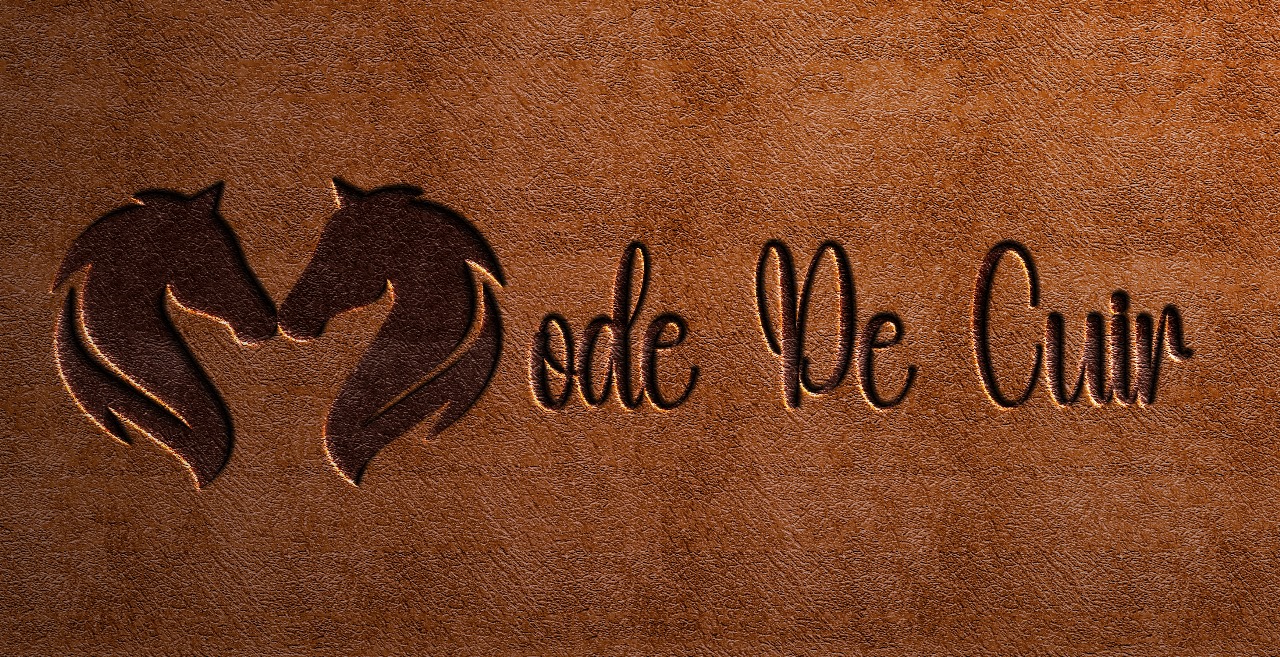 MODE DE CUIR